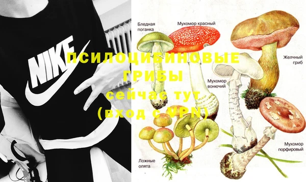 эйфоретик Абаза